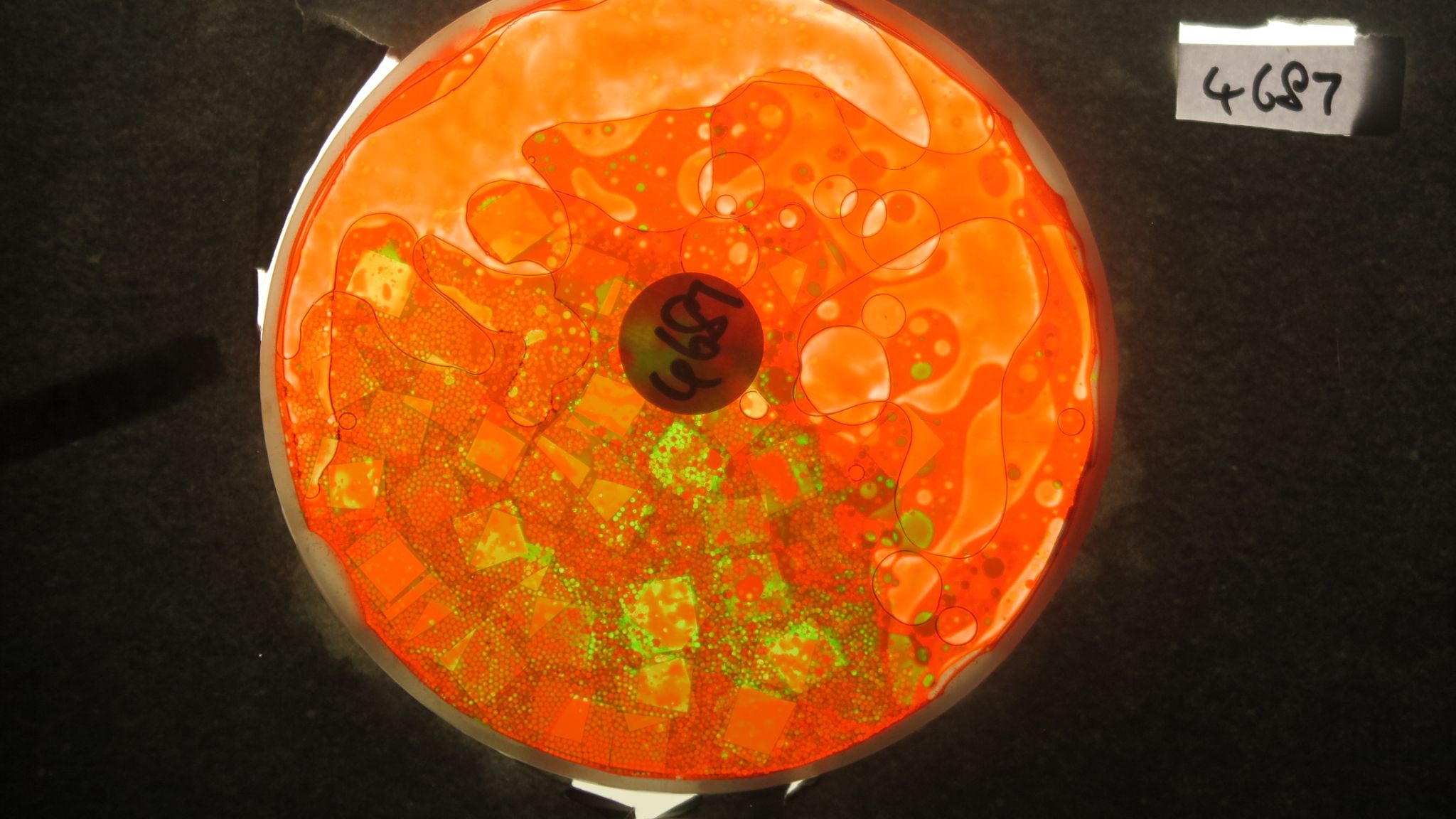 BV4687 bubble vision oil wheel